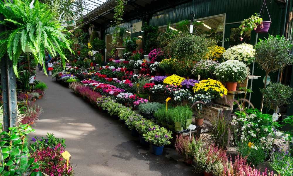 Experiences at the Markets in Paris