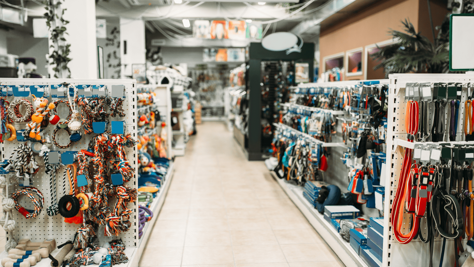 Best Luggage and Accessories Shops Near Orly Airport, Paris | My Personal Observations